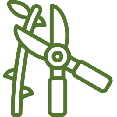 Entretien espace vert Auterive Toulouse 31